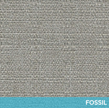 Vermont-Fossil